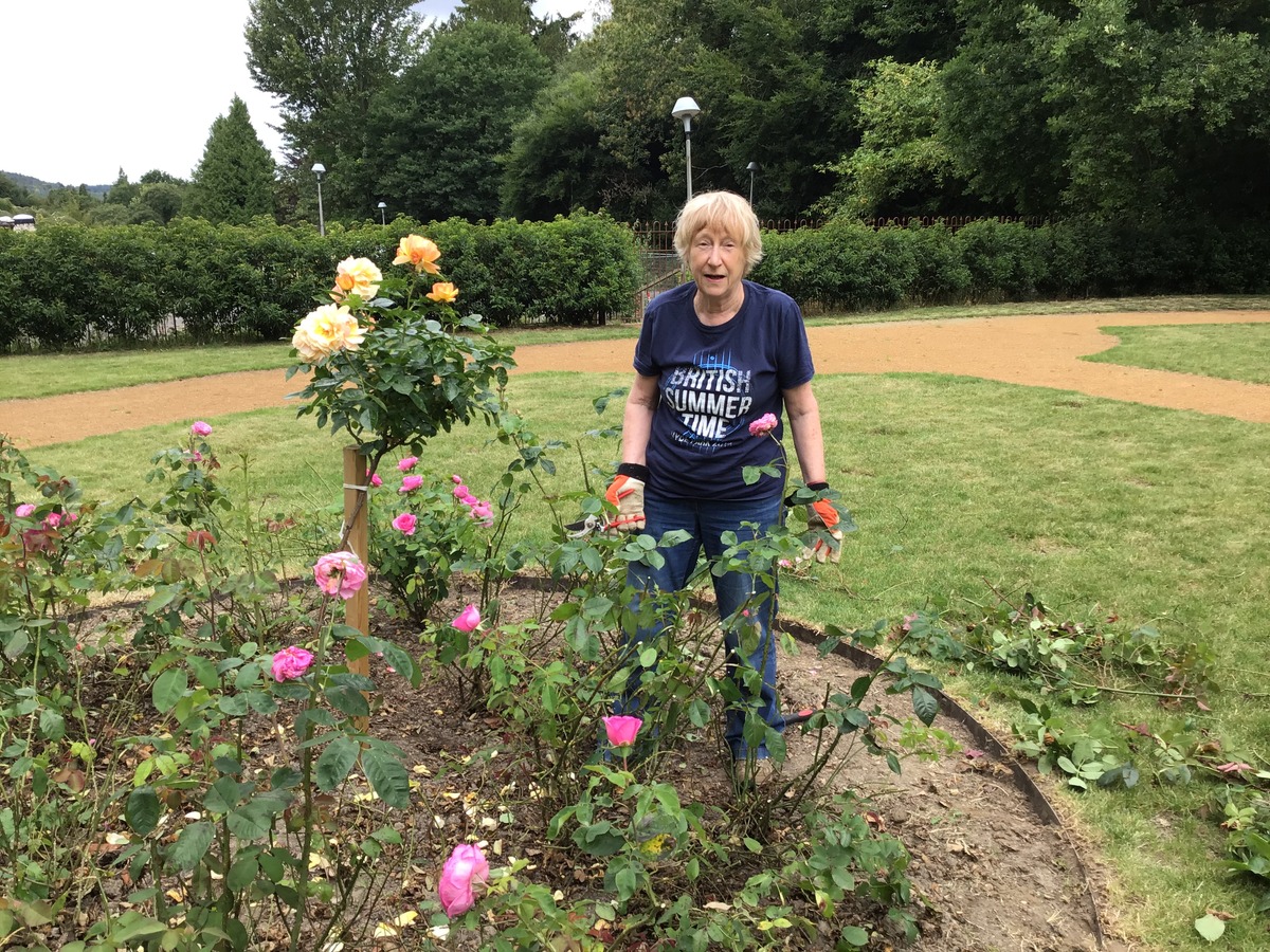 Margaret tidying up the rose beds